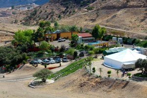 Dog Psychology Center.