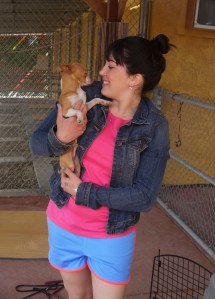 Med Cesar Millans unghund, chihuahuan Taco.