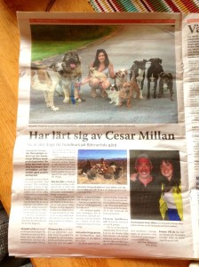 Strömstads Tidning, tisdag 1/10 2013.