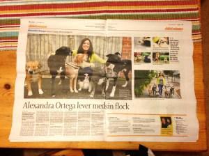 Ulricehamns Tidning, lördag 14/9 2013.