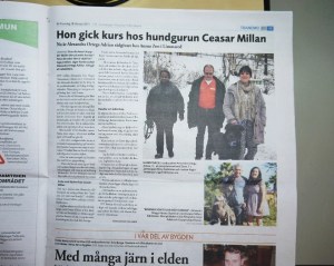 Svenljunga Tranemo Tidning, torsdag 28/2 2013.
