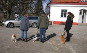 Hundägare som lär sig av varandras erfarenheter och upplevelser.