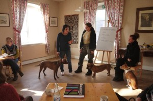 ... och för att förstå den krävs det förklaring från människa till människa.