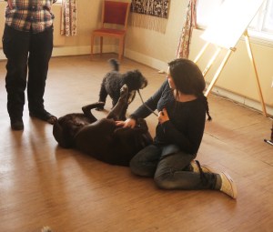 Vi ser hundar som hjälper andra hundar mot balans...