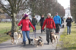 På väg att lämna över flocken till först i ledet.