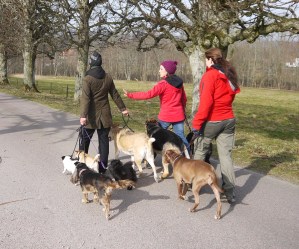 Jag finns till för att vägleda varje individ till bästa möjliga resultat.