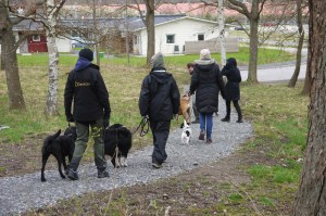 Dagen startar med en flockpromenad.