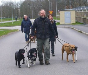 Här har vi en glad en ! :)