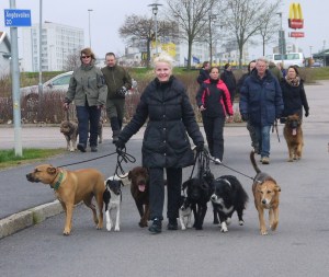 Flockpromenaden är en uppskattad aktivitet bland deltagarna - åtminstone när det är över och man har insett att det inte är så farligt ;)