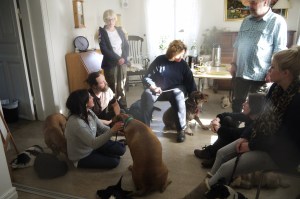 Det var nästan lite "hemma hos"-känsla i Göteborg, lite som att vara på läger med andra hundentusiaster :)