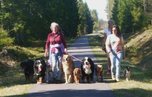 ... men hon var inte den enda! Kolla in Mona, som för övrigt hade fått kursen i födelsedagspresent. Hon fick in både sin egen dogo argentino, finaste Zita, och mysigaste pitbullen, Lita, som båda hade "problem" inledningsvis. Riktigt bra jobbat, Mona!