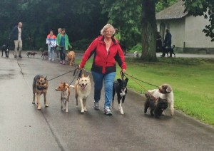 Sist i Helsingborg :)