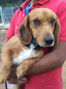 Med en blick som denna är hon som gjord för mig och det arbete hon har framför sig ;)