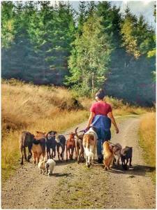 1426315_943624795725261_5219707605937484053_n