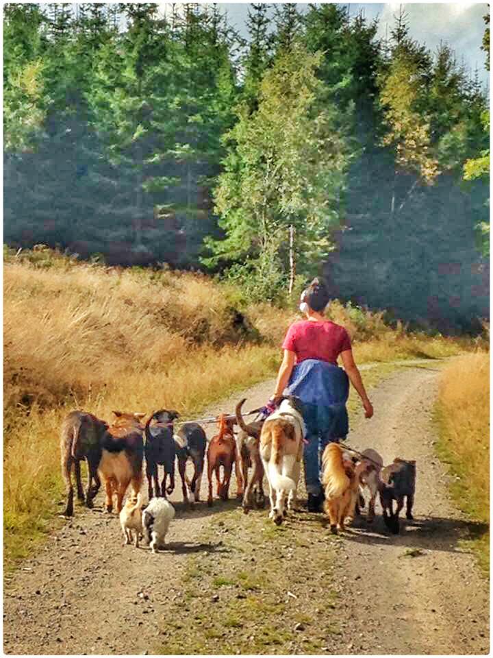 1426315_943624795725261_5219707605937484053_n