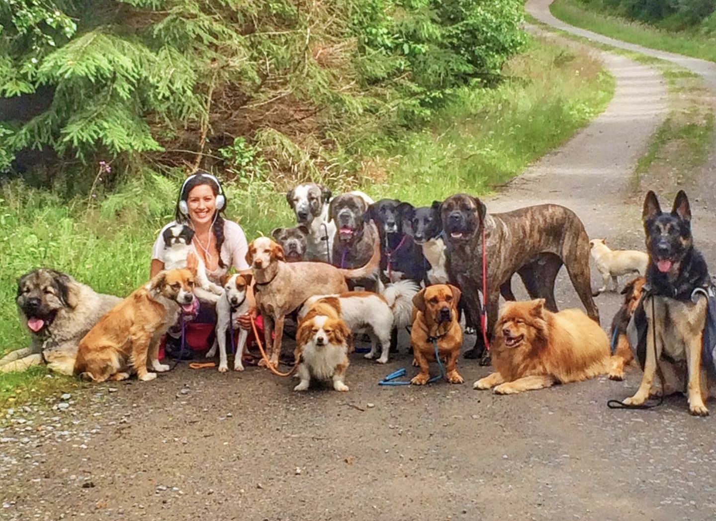 4be819d3-9d40-4d9e-8074-e12665196386